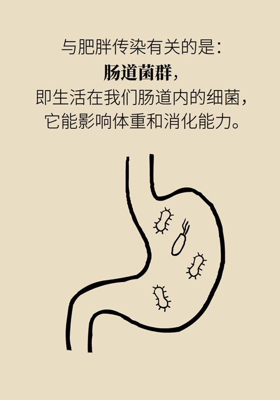 减肥科普动漫制作 减肥科普动漫制作