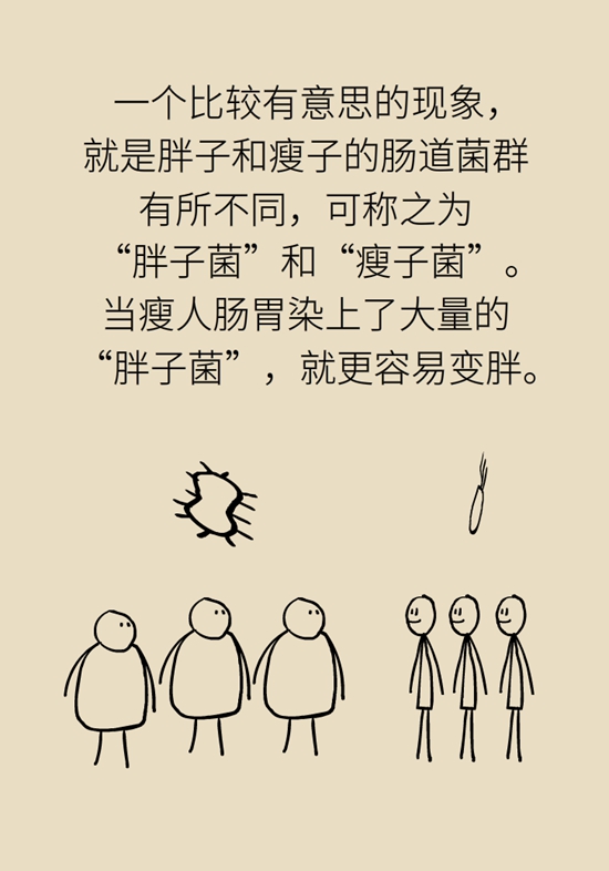 减肥科普动漫制作 减肥科普动漫制作