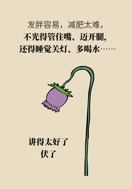 减肥科普动漫制作 减肥科普动漫制作