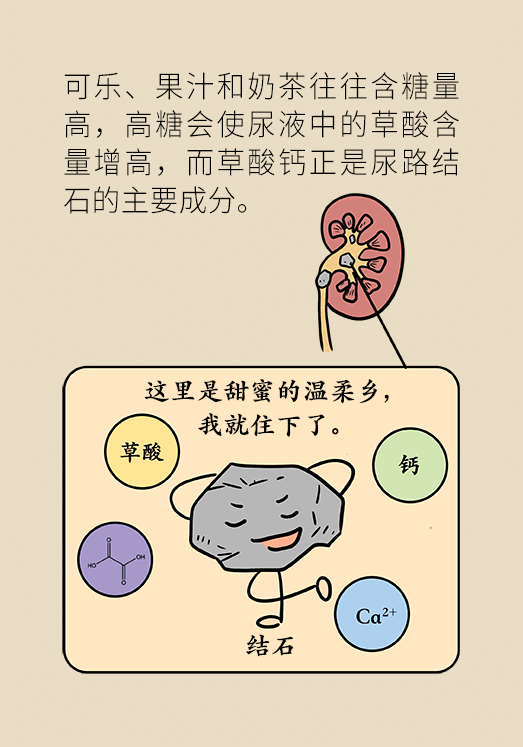 结石科普动漫制作 结石科普动漫制作