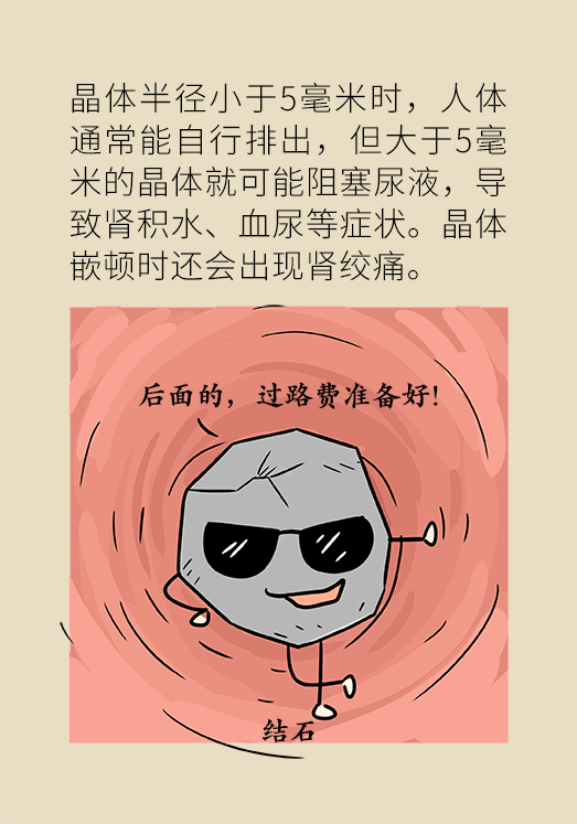 结石科普动漫制作 结石科普动漫制作