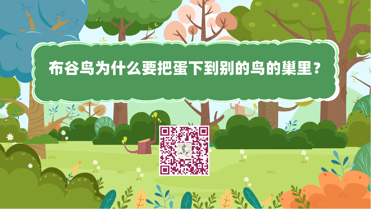 十万个为什么标题(杜鹃为什么要把蛋下到别的鸟的巢里)1200.png 十万个为什么标题(杜鹃为什么要把蛋下到别的鸟的巢里)1200.png
