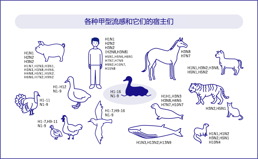流感 流感科普动漫制作