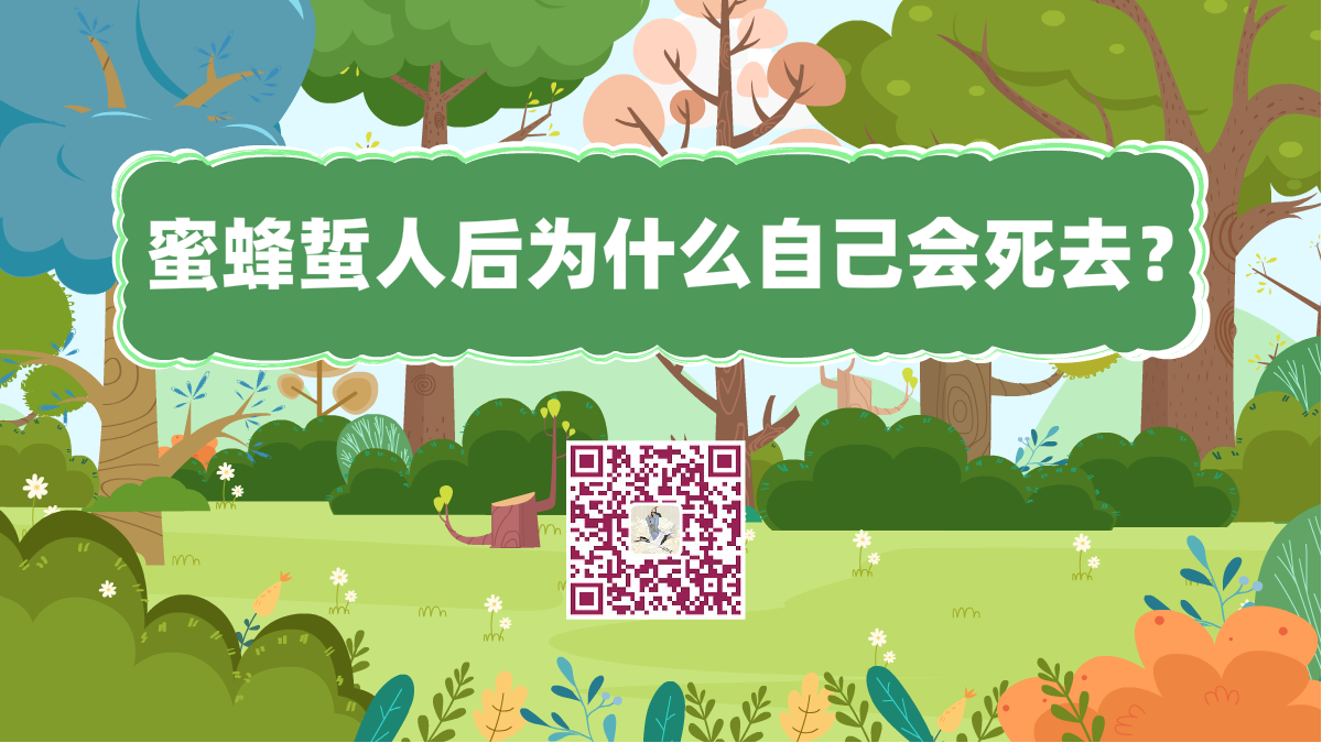 十万个为什么标题(蜜蜂蜇人后为什么自己会死去)1200.png 十万个为什么标题(蜜蜂蜇人后为什么自己会死去)1200.png