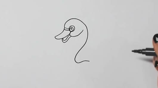 天鹅 天鹅怎么画简笔画简单又漂亮