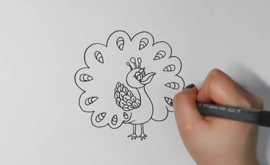 孔雀开屏 孔雀开屏简笔画怎么画简单漂亮