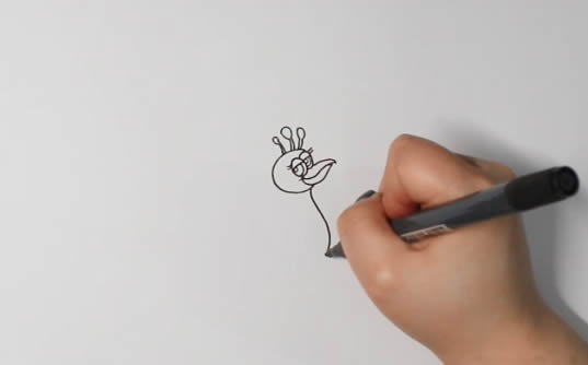 孔雀开屏 孔雀开屏简笔画怎么画简单漂亮