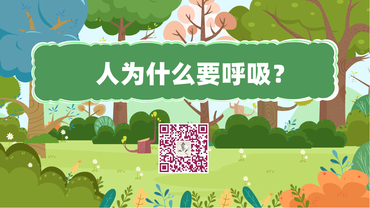 十万个为什么标题（人呼吸）1200.png