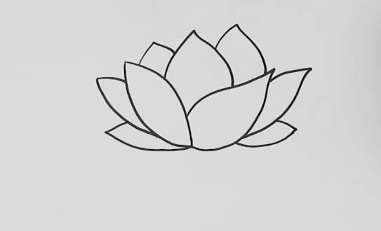 荷花怎么画? 荷花怎么画简笔画简单又漂亮