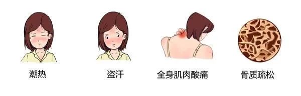 更年期科普动漫制作