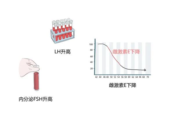更年期科普动漫制作