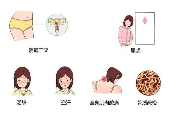 更年期科普动漫制作