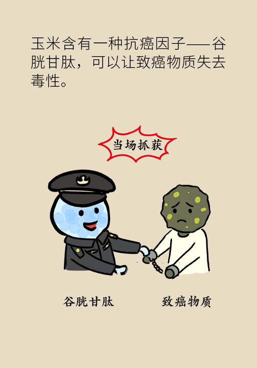 玉米科普动漫制作