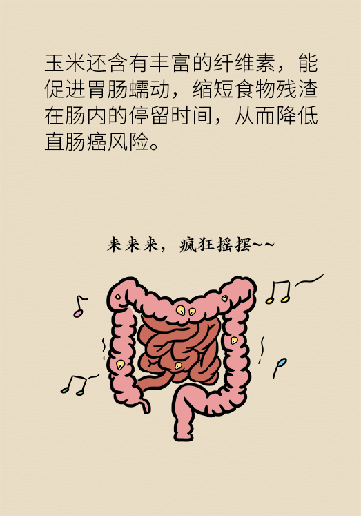 玉米科普动漫制作