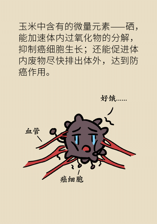 玉米科普动漫制作