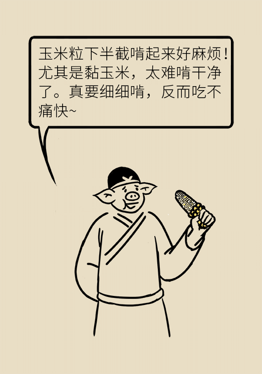 玉米科普动漫制作