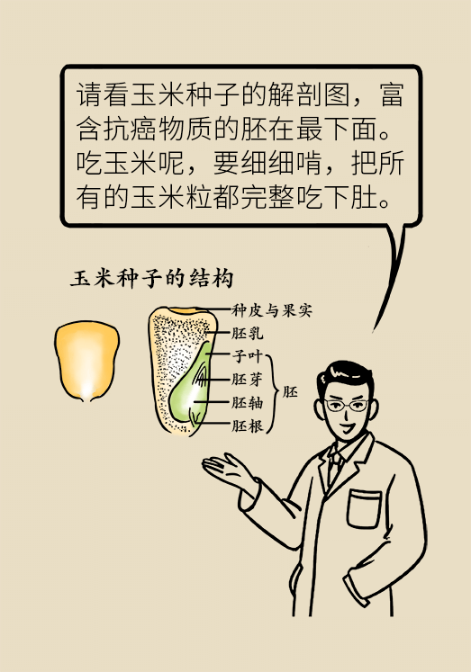 玉米科普动漫制作