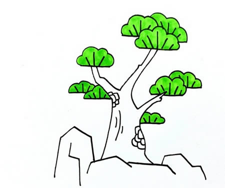 松柏简笔画怎么画简单又漂亮