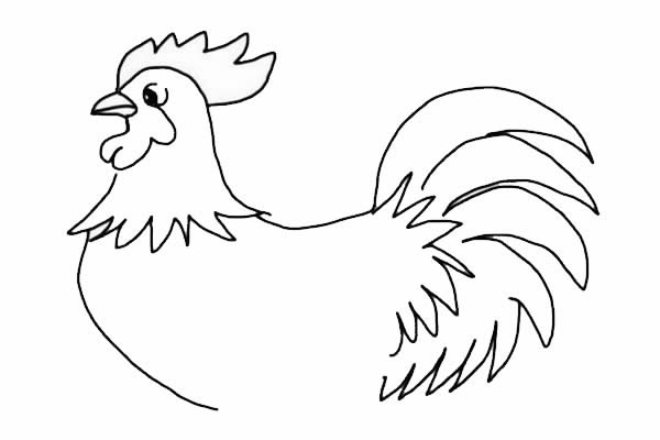 公鸡简笔画-大公鸡简笔画怎么画简单好画