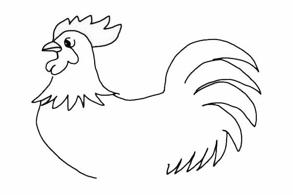 公鸡简笔画-大公鸡简笔画怎么画简单好画