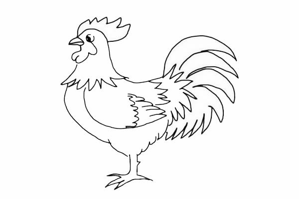 公鸡简笔画-大公鸡简笔画怎么画简单好画