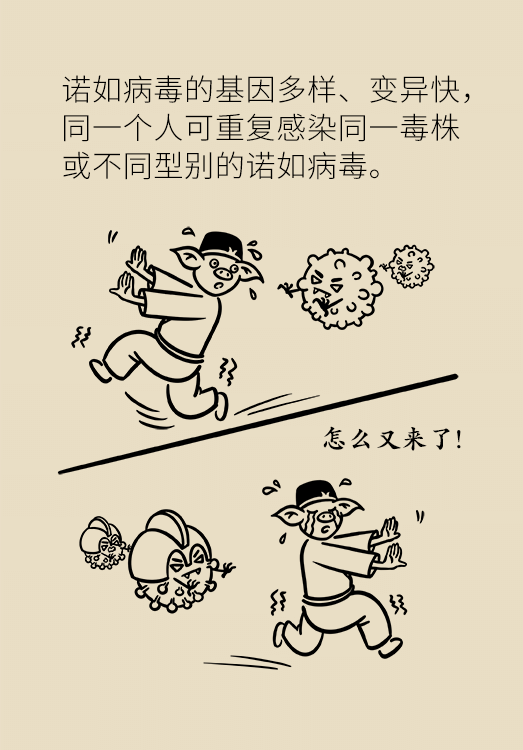 诺如病毒科普动漫制作