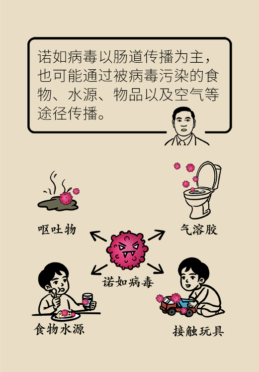 诺如病毒科普动漫制作