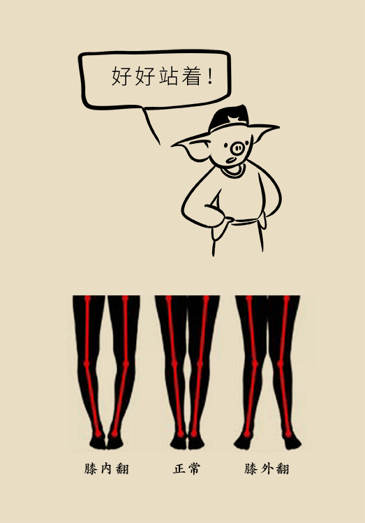 运动健身科普动漫制作