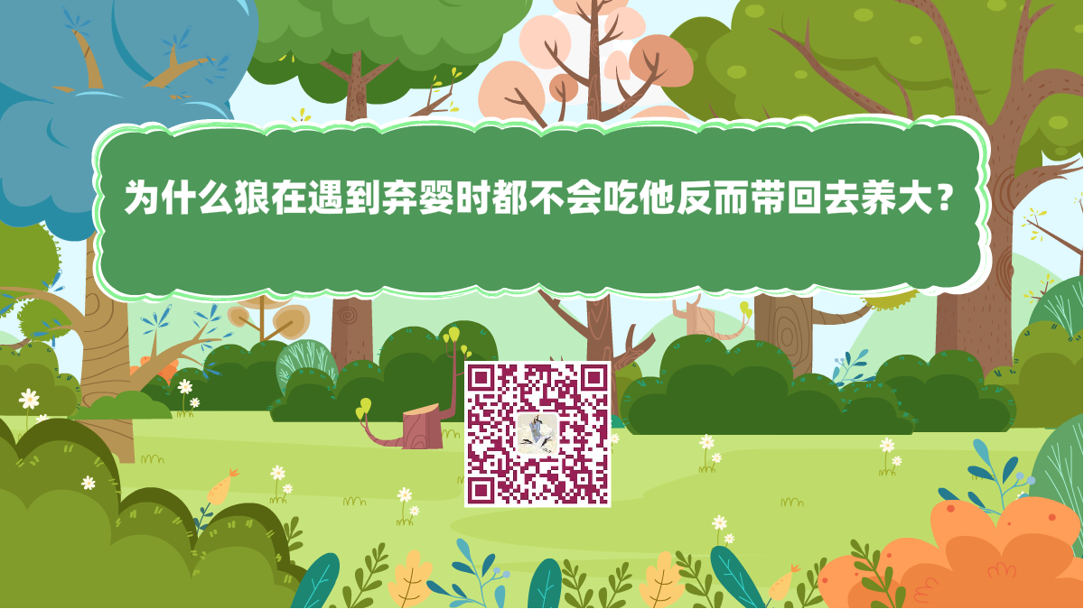 十万个为什么标题(为什么狼在遇到弃婴时,都不会吃他反而带回去养大?)1200.png 十万个为什么标题(为什么狼在遇到弃婴时,都不会吃他反而带回去养大?)1200.png