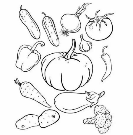 蔬菜简笔画图片大全简单又漂亮-蔬菜简笔画