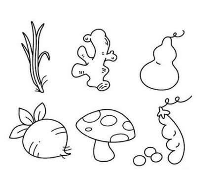 蔬菜简笔画图片大全简单又漂亮-蔬菜简笔画