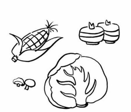 蔬菜简笔画图片大全简单又漂亮-蔬菜简笔画