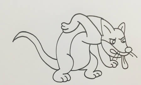 黄鼠狼怎么画简单又漂亮步骤图-黄鼠狼简笔画