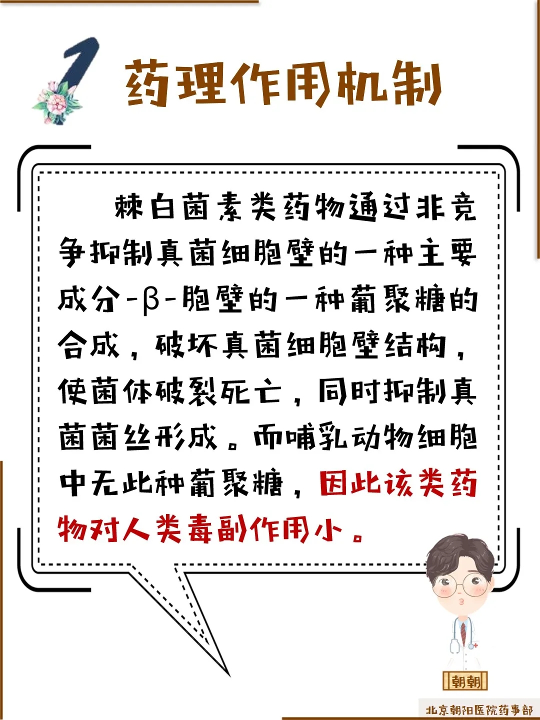 棘白菌素类药物科普动漫
