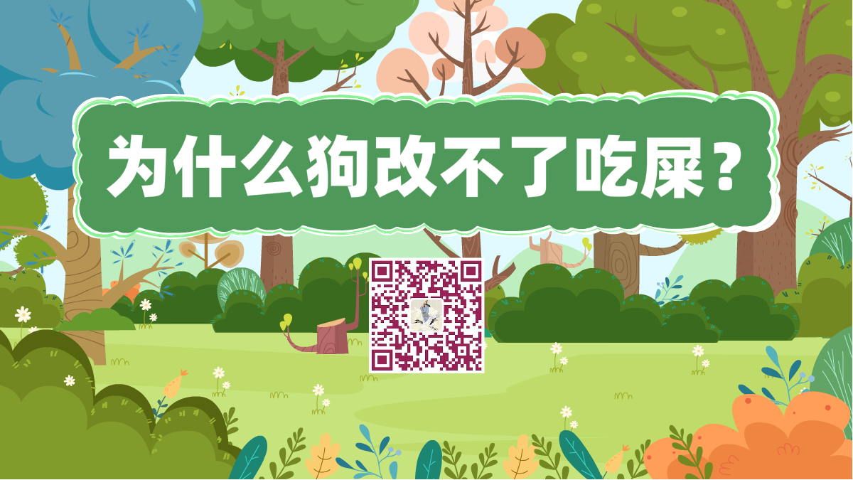 十万个为什么标题(为什么狗改不了吃屎)1200.png 十万个为什么标题(为什么狗改不了吃屎)1200.png