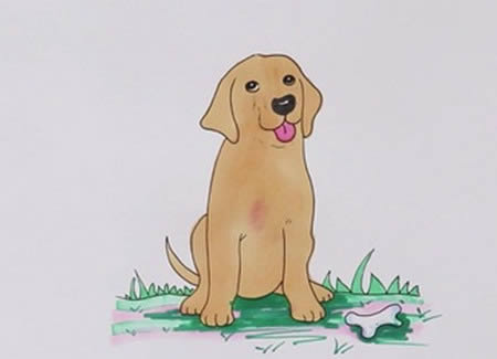 拉布拉多犬怎么画简笔画步骤图解