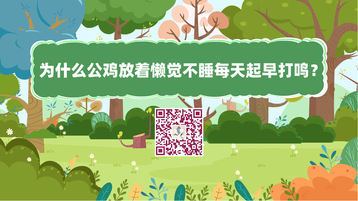 十万个为什么标题(为什么公鸡放着懒觉不睡每天起早打鸣)1200.png 十万个为什么标题(为什么公鸡放着懒觉不睡每天起早打鸣)1200.png