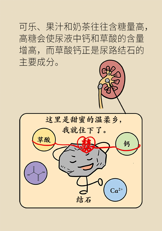 尿结石科普动漫