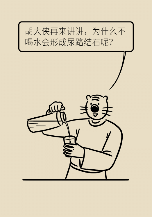 尿结石科普动漫