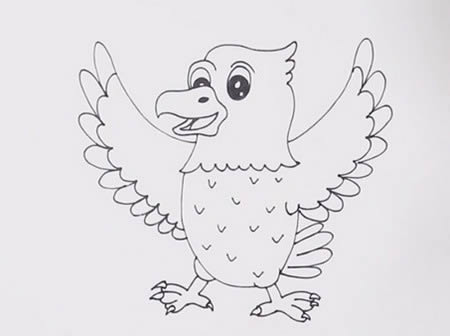 老鹰简笔画彩色画法步骤图