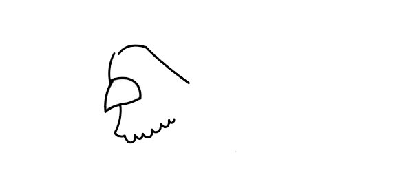 公鸡