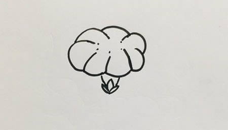牵牛花