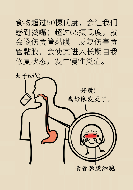 食道癌科普动漫