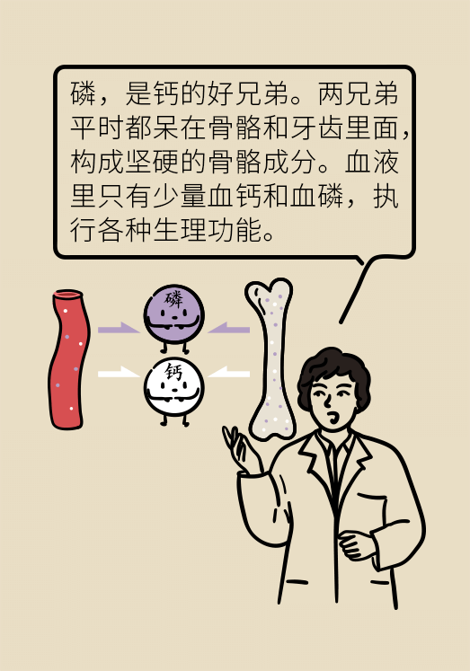 肾科普动漫制作