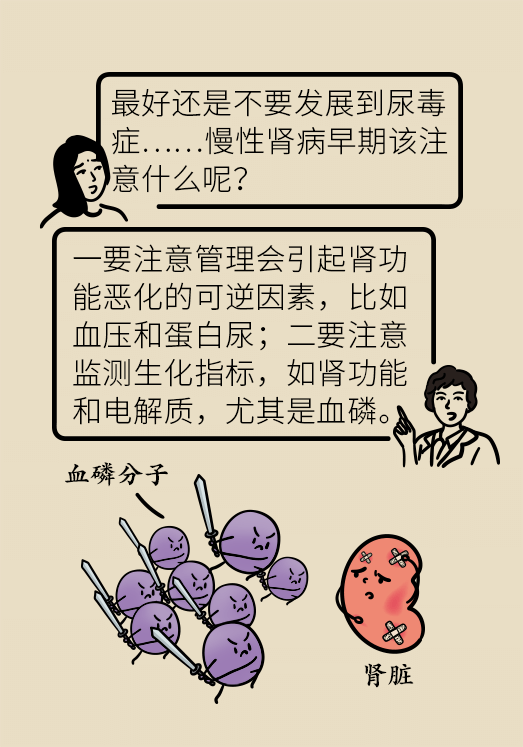 肾科普动漫制作