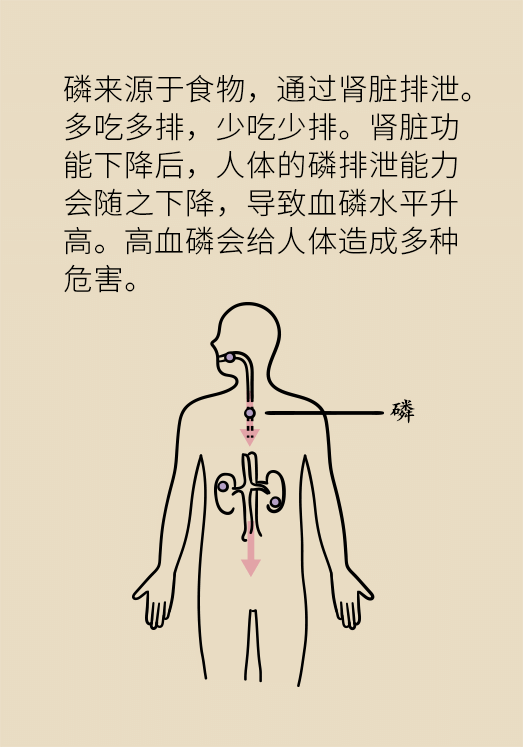 肾科普动漫制作