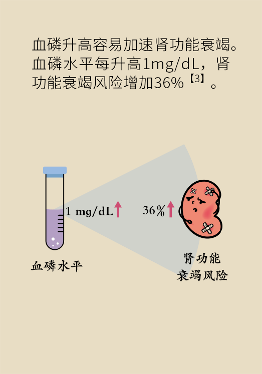 肾科普动漫制作