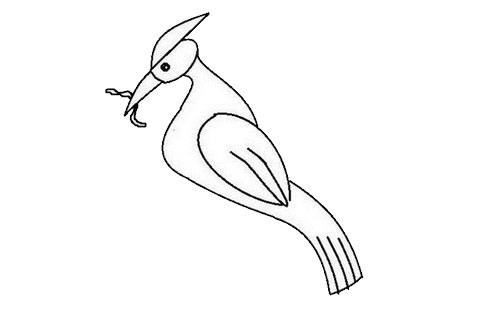 啄木鸟