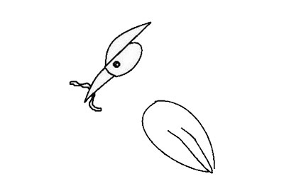 啄木鸟