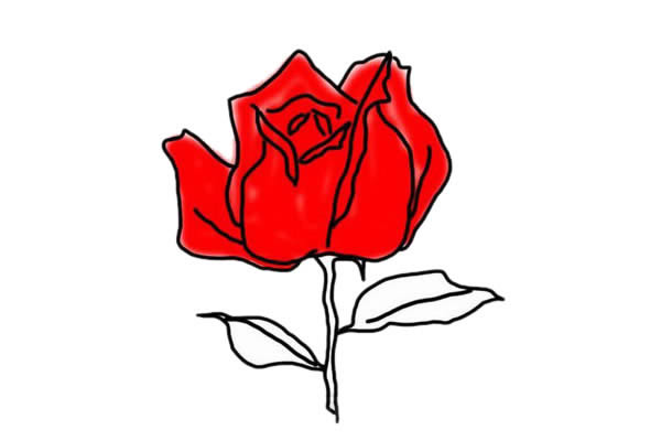 玫瑰花简笔画简单又漂亮